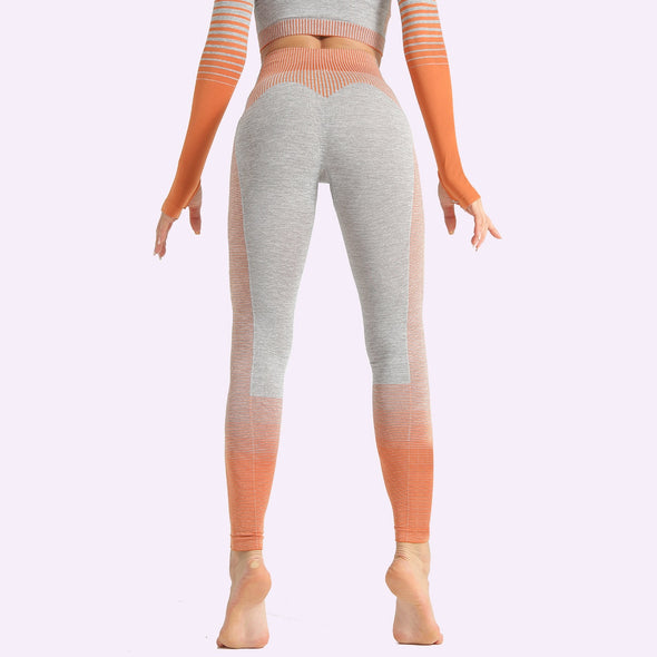 THE SPLENDID O  Workout Tops / Leggings