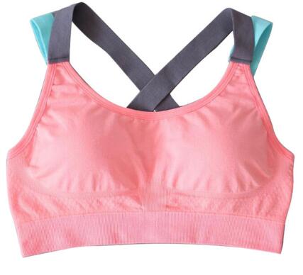 Joy Sport Bra